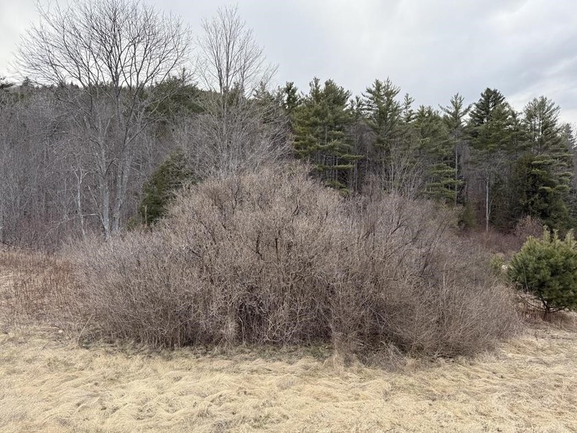 How about 10.86 acres in current use with the Eastman Brook - photo 13
