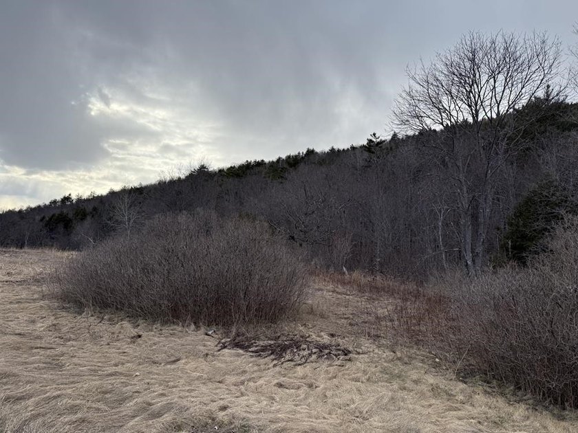 How about 10.86 acres in current use with the Eastman Brook - photo 15