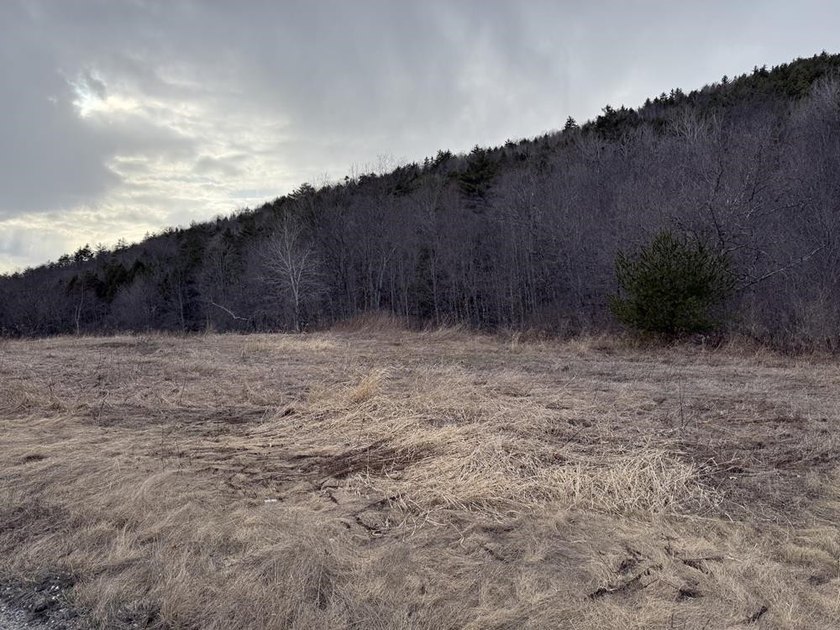 How about 10.86 acres in current use with the Eastman Brook - photo 16