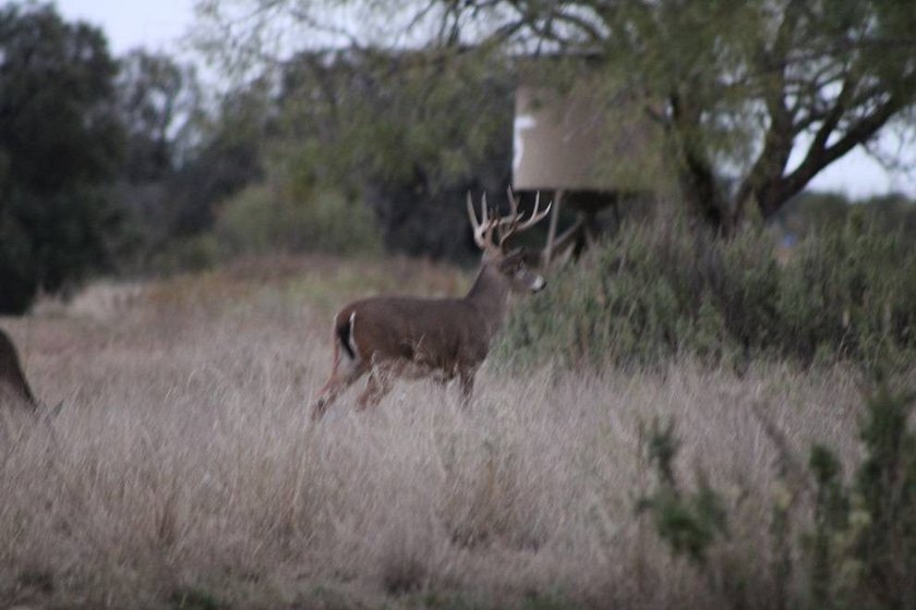 The Miller Ranch is located just outside of Brady, Texas. This - photo 15