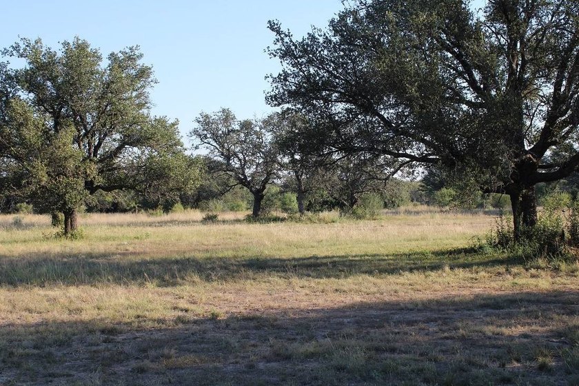 The Miller Ranch is located just outside of Brady, Texas. This - photo 16
