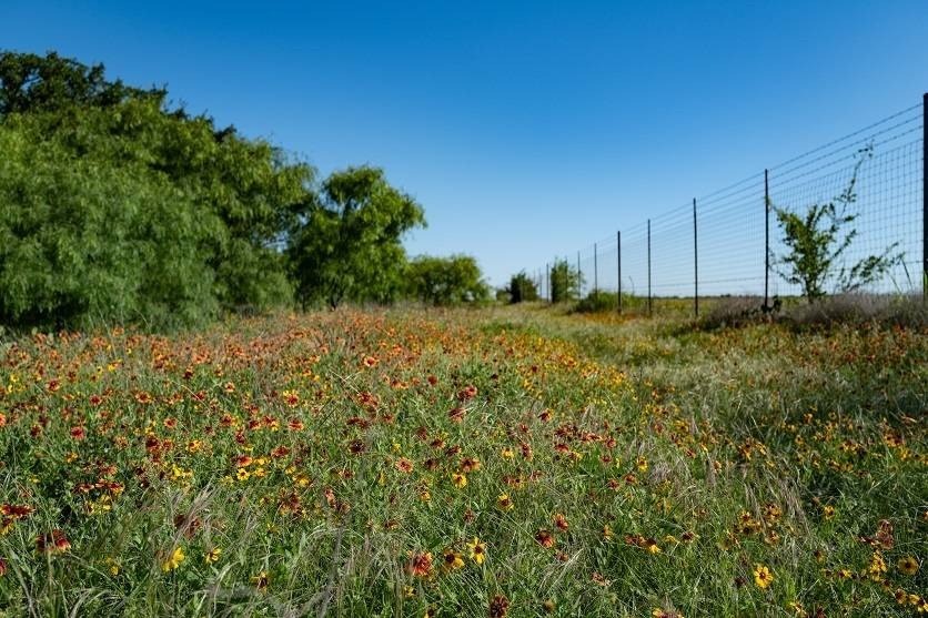 The Miller Ranch is located just outside of Brady, Texas. This - photo 17