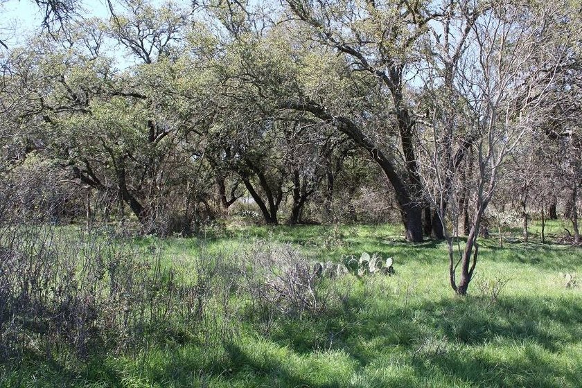 The Miller Ranch is located just outside of Brady, Texas. This - photo 18