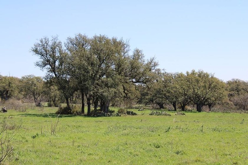 The Miller Ranch is located just outside of Brady, Texas. This - photo 20