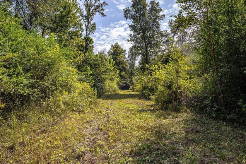 Imagine owning more than a mile of Big Black River frontage in - photo 12
