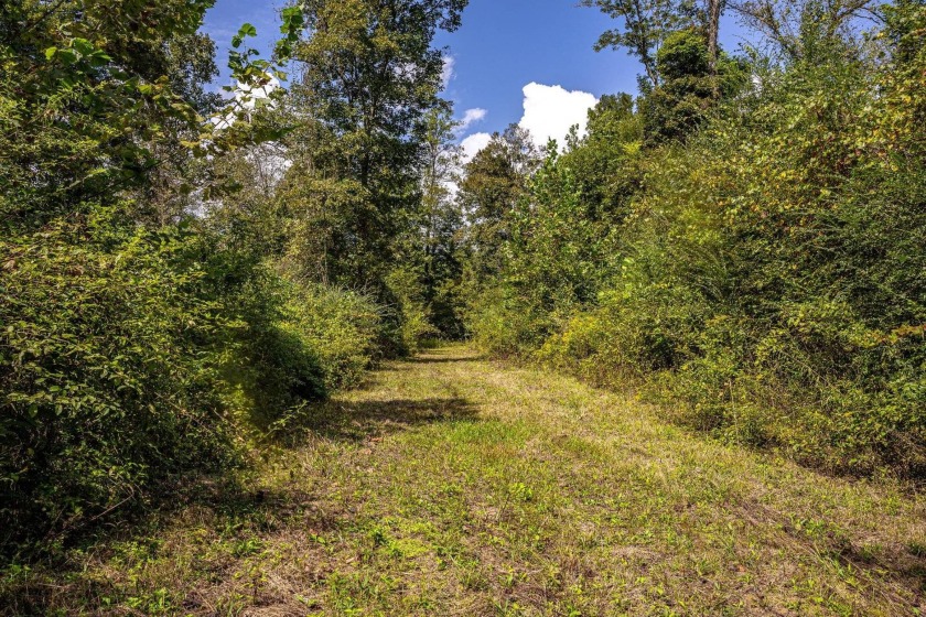 Imagine owning more than a mile of Big Black River frontage in - photo 15