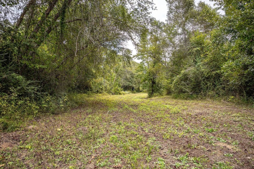 Imagine owning more than a mile of Big Black River frontage in - photo 16