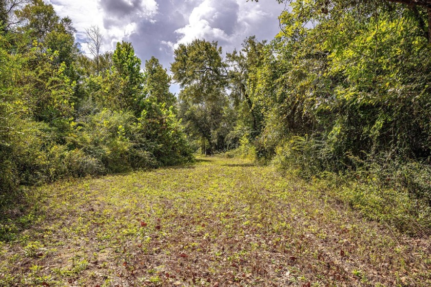 Imagine owning more than a mile of Big Black River frontage in - photo 17