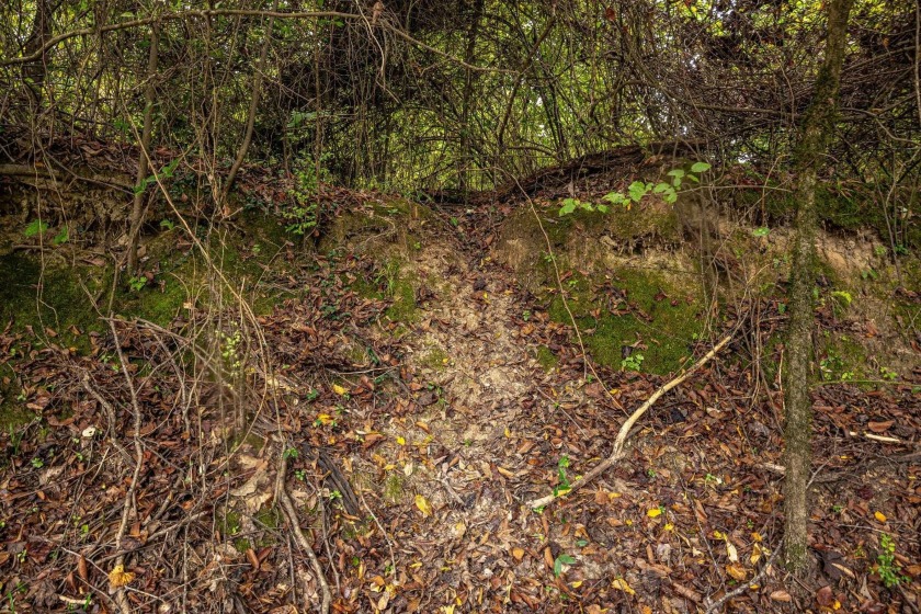 Imagine owning more than a mile of Big Black River frontage in - photo 18