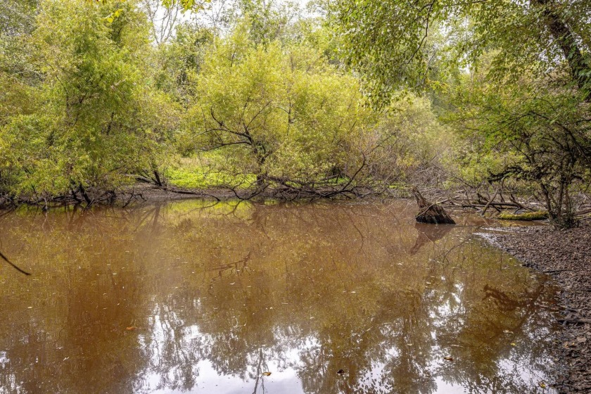 Imagine owning more than a mile of Big Black River frontage in - photo 21