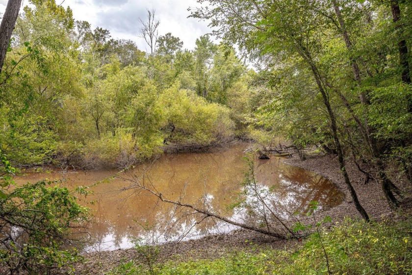 Imagine owning more than a mile of Big Black River frontage in - photo 22