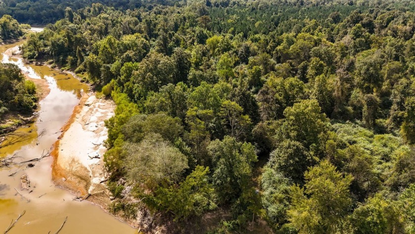 Imagine owning more than a mile of Big Black River frontage in - photo 24