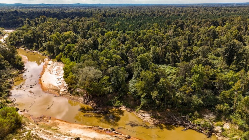 Imagine owning more than a mile of Big Black River frontage in - photo 26