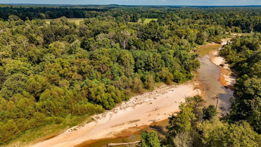 Imagine owning more than a mile of Big Black River frontage in - photo 27