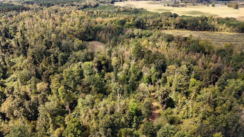 Imagine owning more than a mile of Big Black River frontage in - photo 30