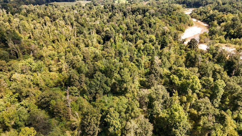 Imagine owning more than a mile of Big Black River frontage in - photo 34