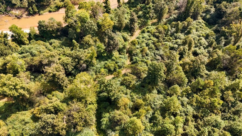 Imagine owning more than a mile of Big Black River frontage in - photo 36