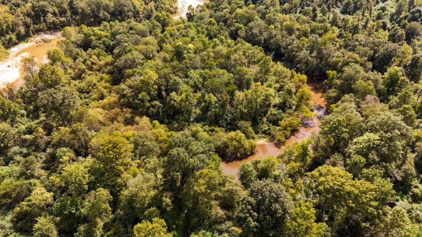 Imagine owning more than a mile of Big Black River frontage in - photo 40