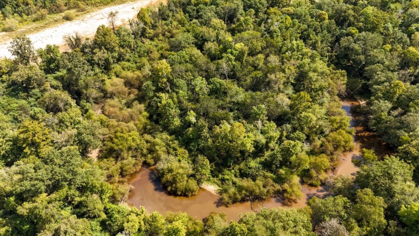 Imagine owning more than a mile of Big Black River frontage in - photo 41