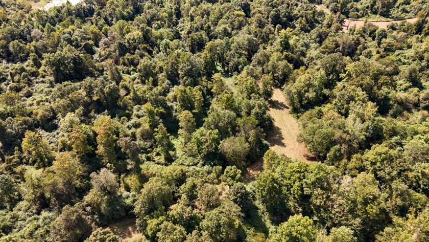 Imagine owning more than a mile of Big Black River frontage in - photo 42
