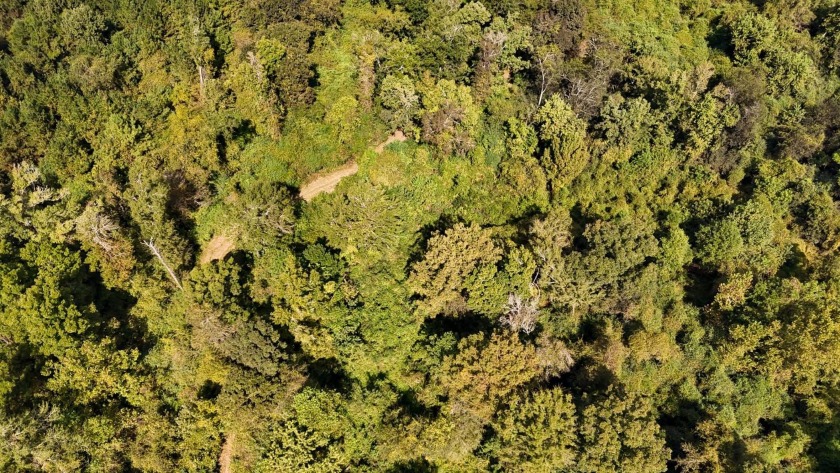Imagine owning more than a mile of Big Black River frontage in - photo 43