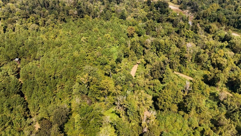 Imagine owning more than a mile of Big Black River frontage in - photo 44