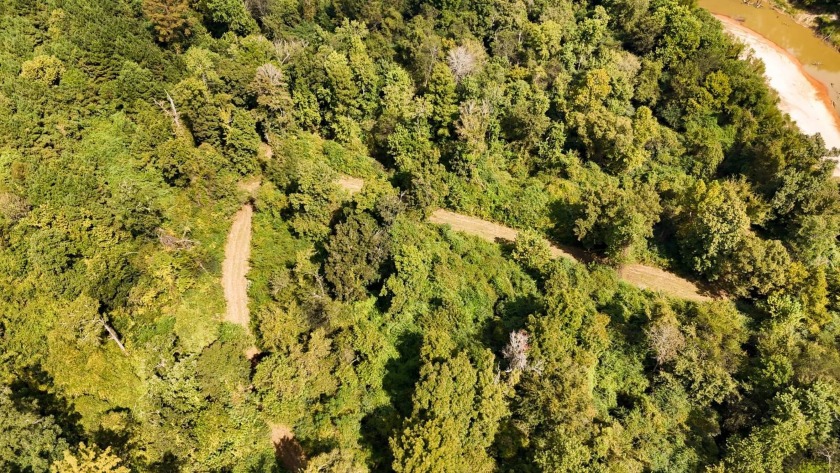 Imagine owning more than a mile of Big Black River frontage in - photo 45