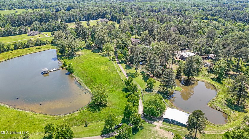 Southern Living! Enter the gated, curving driveway around a - photo 24