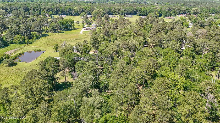 Southern Living! Enter the gated, curving driveway around a - photo 31