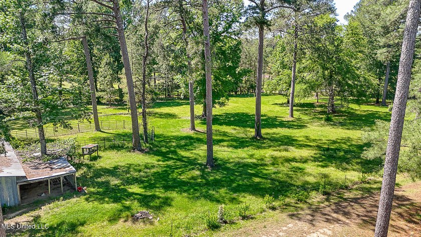 Southern Living! Enter the gated, curving driveway around a - photo 33