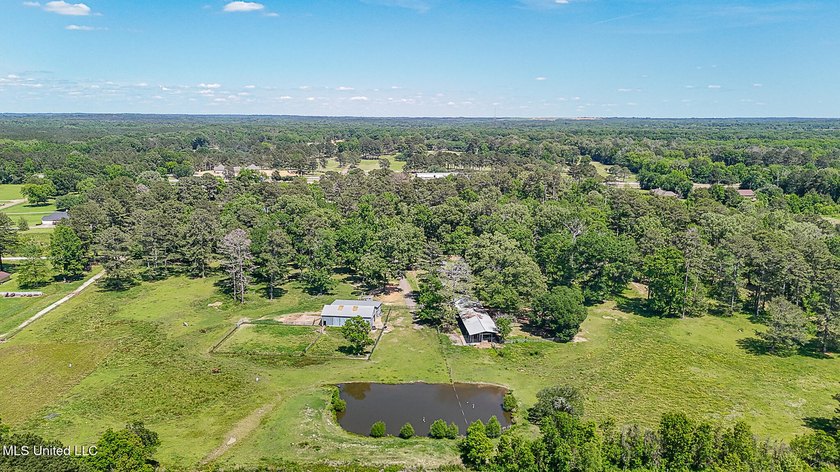 Southern Living! Enter the gated, curving driveway around a - photo 42