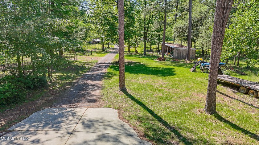 Southern Living! Enter the gated, curving driveway around a - photo 44