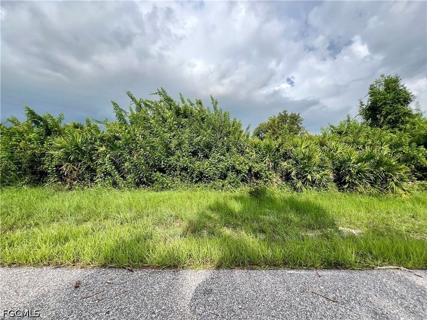 Beautiful lot offers a unique opportunity to build the home of - photo 3