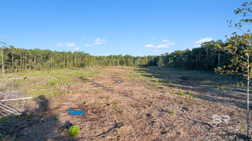 23 Acres and 484 ft of road frontage on County Road 6 in Gulf - photo 11