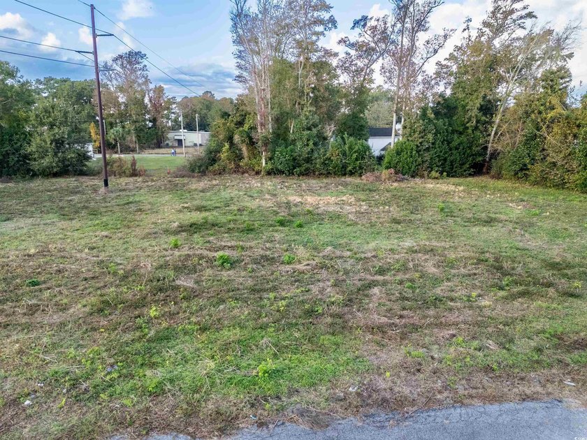 Check out this land available in Atlantic Beach - just a few - photo 3