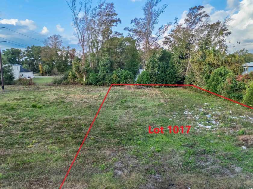 Check out this land available in Atlantic Beach - just a few - photo 6