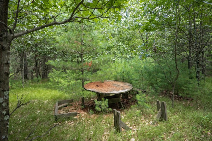 Whether you're looking to hunt, fish, relax, or simply escape - photo 5