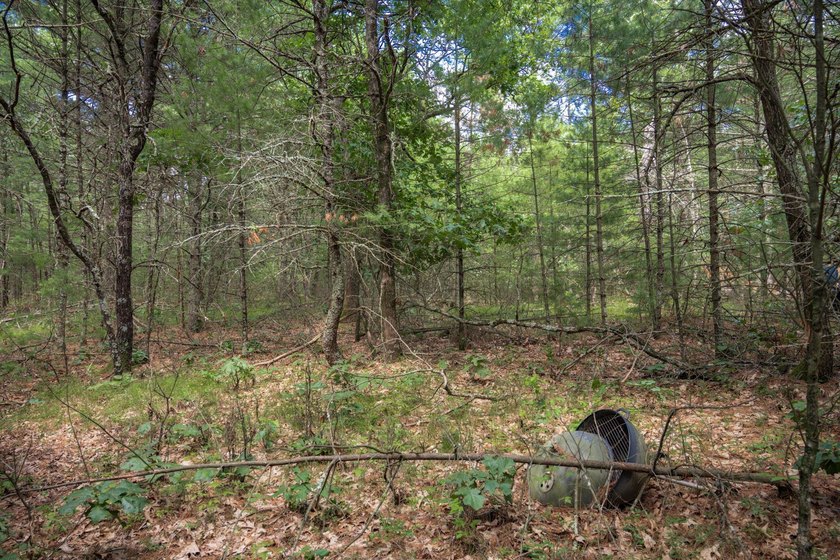 Whether you're looking to hunt, fish, relax, or simply escape - photo 10