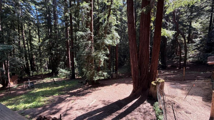 A private road and paved, circular driveway lead to this custom - photo 36
