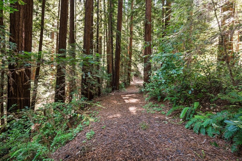 A private road and paved, circular driveway lead to this custom - photo 38