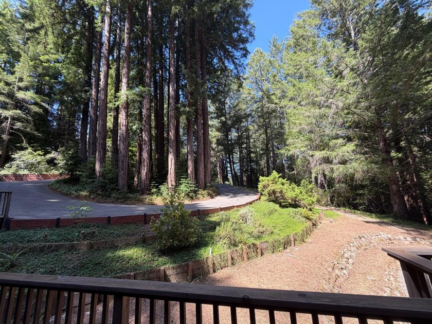 A private road and paved, circular driveway lead to this custom - photo 40