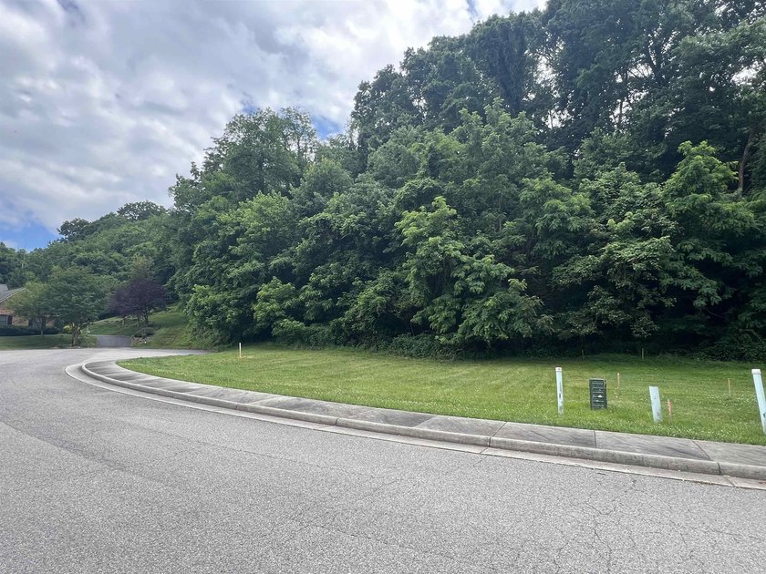 Here is your change to purchase your own Prime Building Lot in - photo 2