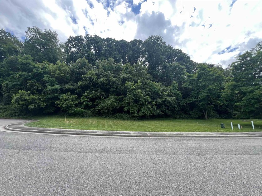 Here is your change to purchase your own Prime Building Lot in - photo 5