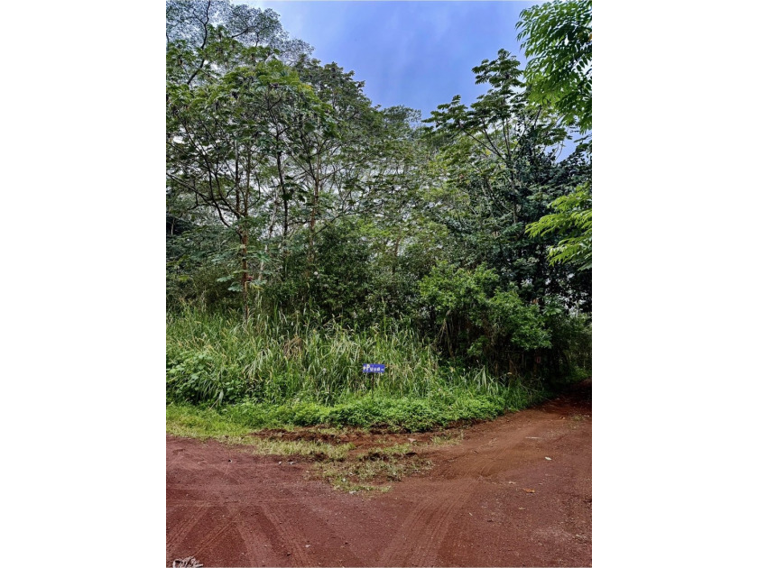 Extraordinary vacant land opportunity on Puua Kapoho Rd in Pahoa - photo 2