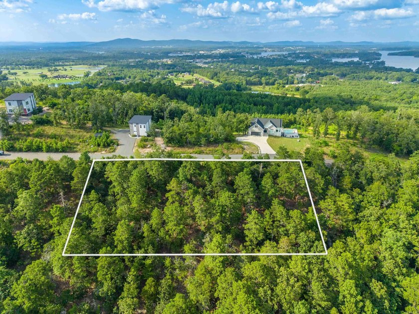 Want Mt. Riante views for you new home, then this is your chance - photo 3