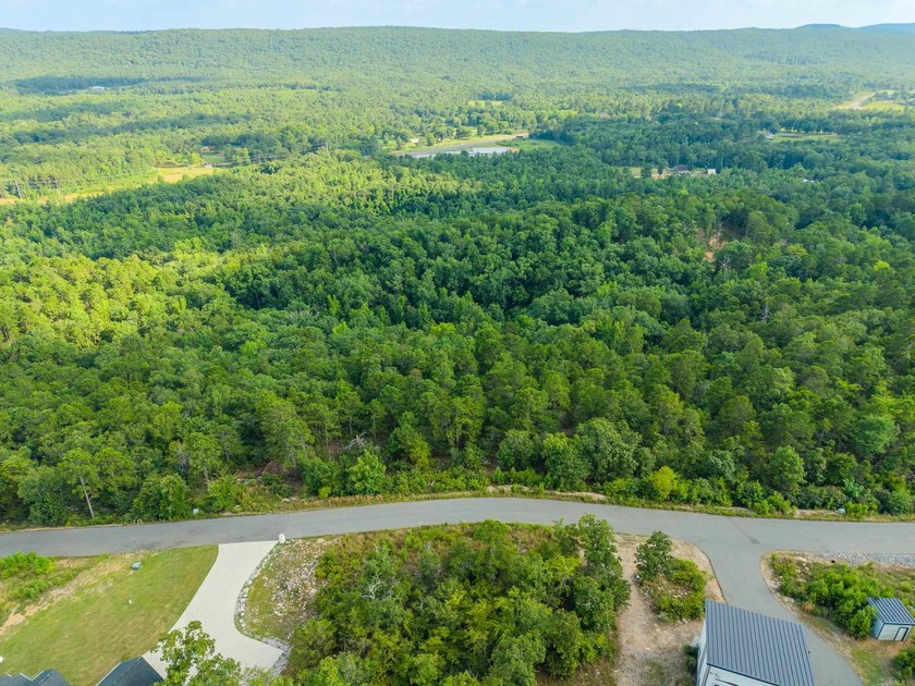 Want Mt. Riante views for you new home, then this is your chance - photo 4