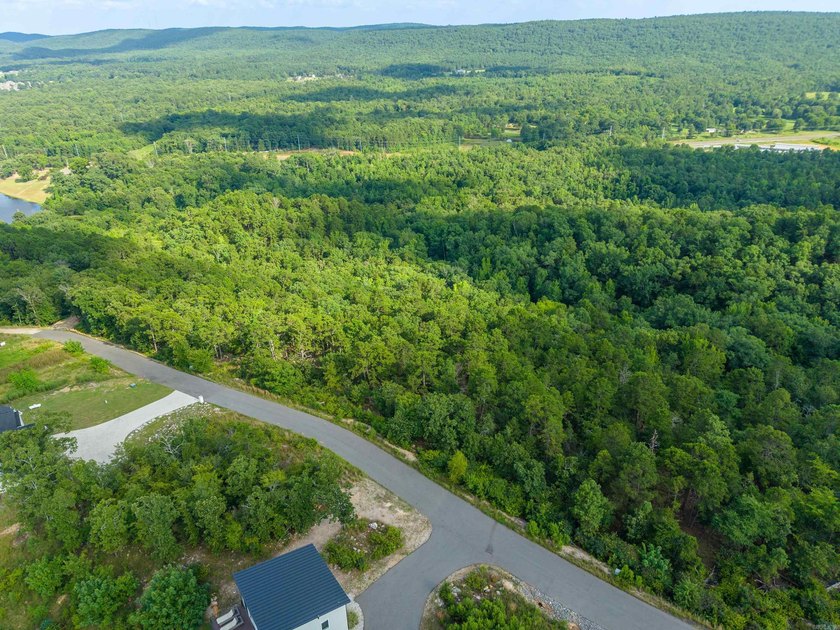 Want Mt. Riante views for you new home, then this is your chance - photo 6