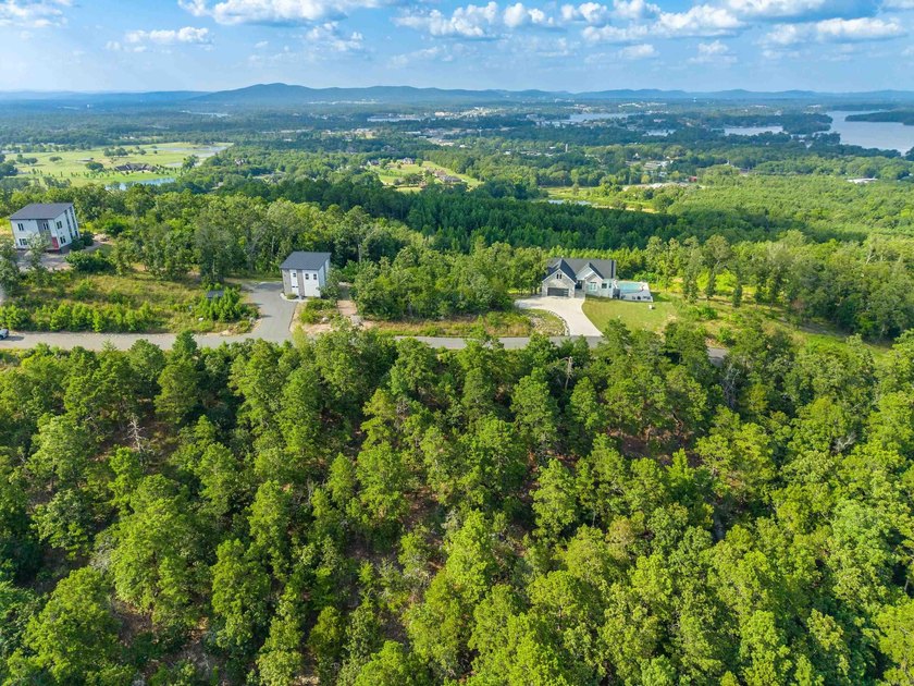 Want Mt. Riante views for you new home, then this is your chance - photo 9