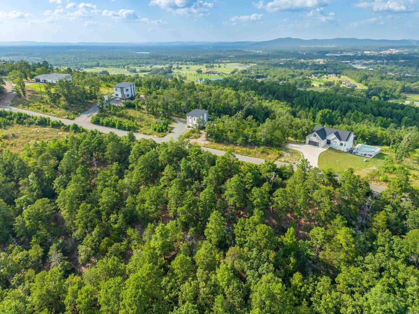 Want Mt. Riante views for you new home, then this is your chance - photo 10
