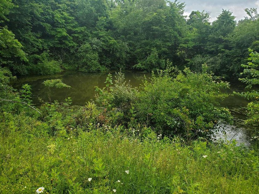 Don't miss out on this DEAL as the Owners are looking for an - photo 16